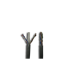 CAT6-100