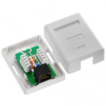 CAT5-BOX-1
